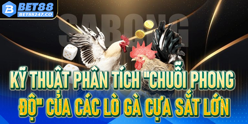 Kỹ thuật phân tích "Chuỗi phong độ" của các lò gà cựa sắt lớn