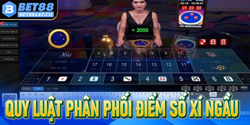 Quy luật phân phối điểm số Xí ngầu