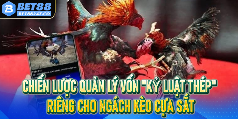 Chiến lược quản lý vốn "Kỷ luật thép" riêng cho ngách Kèo cựa sắt