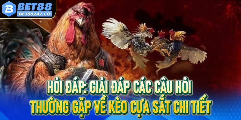 Hỏi Đáp: Giải đáp các câu hỏi thường gặp về kèo cựa sắt chi tiết